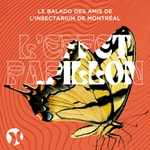 L'Effet papillon L'Effet papillon