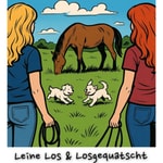 Logo of the podcast Leinen Los und Losgequatscht Podcast Leinen Los und Losgequatscht