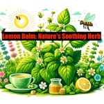 Podcast Lemon Balm: Nature's Soothing Herb