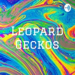 Logo of the podcast Leopard Geckos Podcast Leopard Geckos