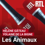 Logo of the podcast Les animaux Podcast Les animaux