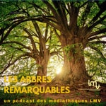 Logo of the podcast Les Arbres remarquables Podcast Les Arbres remarquables