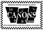 Logo of the podcast Les canons de Navarone Podcast Les canons de Navarone