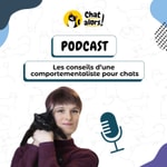 Logo of the podcast Les conseils d'une comportementaliste pour chats Podcast Les conseils d'une comportementaliste pour chats