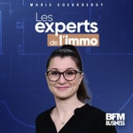 Logo of the podcast Les experts de l'immo Podcast Les experts de l'immo