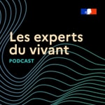 Logo of the podcast Les experts du vivant Podcast Les experts du vivant