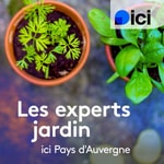 Podcast Les experts jardin, ici Pays d'Auvergne