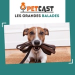 Logo of the podcast Les grandes balades 🌳🐾 Podcast Les grandes balades 🌳🐾