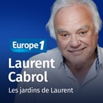 Logo of the podcast Les jardins de Laurent - Laurent Cabrol Podcast Les jardins de Laurent - Laurent Cabrol
