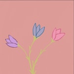 Logo of the podcast Les mots d'une grande soeur, réflexion douce et pratique Podcast Les mots d'une grande soeur, réflexion douce et pratique