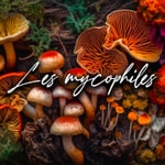 Logo of the podcast Les Mycophiles Podcast Les Mycophiles