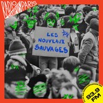 Logo of the podcast Les Nouveaux Sauvages Podcast Les Nouveaux Sauvages
