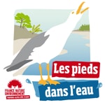 Logo of the podcast Les Pieds dans l'Eau Podcast Les Pieds dans l'Eau