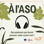 Logo of the podcast Les podcasts d'ASO *ASTREDHOR Sud-Ouest Podcast Les podcasts d'ASO *ASTREDHOR Sud-Ouest