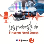 Logo of the podcast Les podcasts de l'Inserm Nord Ouest Podcast Les podcasts de l'Inserm Nord Ouest