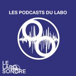 Logo of the podcast LES PODCASTS DU LABO _ par le labo sonore Podcast LES PODCASTS DU LABO _ par le labo sonore