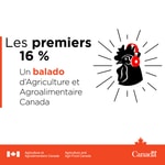 Les premiers seize pour cent Les premiers seize pour cent