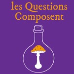 Les Questions Composent Podcast Les Questions Composent