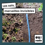 Logo of the podcast Les sols, merveilles invisibles Podcast Les sols, merveilles invisibles