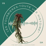 Les tourbières : toute une histoire Les tourbières : toute une histoire