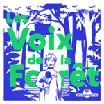 Les Voix de la forêt Podcast Les Voix de la forêt