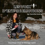 Les voix d'Entre 2 Emotions Podcast Les voix d'Entre 2 Emotions