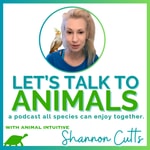 Let's Talk to Animals