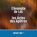 Logo of the podcast L’évangile de Luc et les Actes des Apôtres — Michel Mazzalongo Podcast L’évangile de Luc et les Actes des Apôtres — Michel Mazzalongo