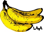 Logo of the podcast Libertad Aquí y Ahora - LAyA Podcast Libertad Aquí y Ahora - LAyA