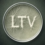 Logo of the podcast Lichen The Vibe Podcast Lichen The Vibe