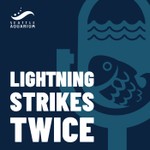 Logo of the podcast Lightning Strikes Twice Podcast Lightning Strikes Twice