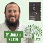 Logo of the podcast Likutei Moharan - R’ Judah Klein Podcast Likutei Moharan - R’ Judah Klein