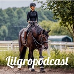 Logo of the podcast Lilgropodcast - Das Leben ist (k)ein Ponyhof Podcast Lilgropodcast - Das Leben ist (k)ein Ponyhof