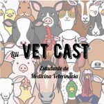 Logo of the podcast Lili VET CAST Podcast Lili VET CAST
