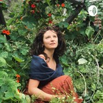 Lily Of The Herbs Talks Podcast Lily Of The Herbs Talks
