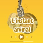 L'instant animal Podcast L'instant animal