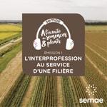 Logo of the podcast L'interprofession au service d'une filière Podcast L'interprofession au service d'une filière