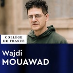 Logo of the podcast L'invention de l'Europe par les langues et les cultures (2024-2025) - Wajdi Mouawad Podcast L'invention de l'Europe par les langues et les cultures (2024-2025) - Wajdi Mouawad
