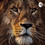 Logo of the podcast Lions 🦁 Podcast Lions 🦁