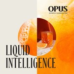 Logo of the podcast Liquid Intelligence Podcast Liquid Intelligence