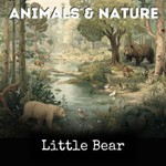 Logo of the podcast Little Bear Podcast Little Bear