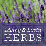 Logo of the podcast Living and Lovin Herbs Podcast: A lifestyle show for those wanting to learn more about herbs Missing podcast logo