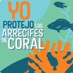 Podcast Lo Que Hay en los Corales del Este de Puerto Rico