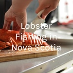 Logo of the podcast Lobster Fishing in Nova Scotia Podcast Lobster Fishing in Nova Scotia