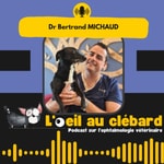 Logo of the podcast L'oeil au clébard Podcast L'oeil au clébard