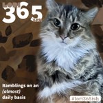 Podcast Lori 365'ish