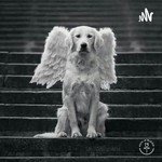 Logo of the podcast Loss of a pet Podcast Loss of a pet