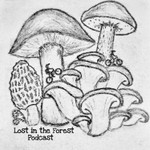 Logo of the podcast Lost In The Forest Podcast Lost In The Forest
