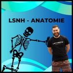 Logo of the podcast LSNH - Anatomie Podcast LSNH - Anatomie