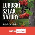 Logo of the podcast Lubuski szlak natury - Radio Zachód Podcast Lubuski szlak natury - Radio Zachód